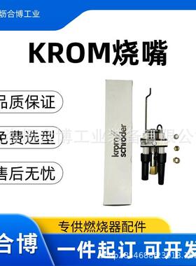 正品原装霍科德烧嘴点火枪BIC80HB-0/5-(16)F坜合博大量库存