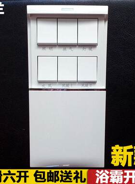 格兰同款倍尔诺 悬吊式天花板浴霸开 关16A大功率 下滑防水盖6开