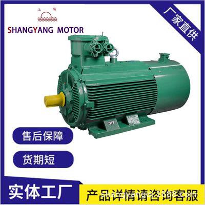 防爆变频电机YBBP-160-2P-15KW大功率高效风机