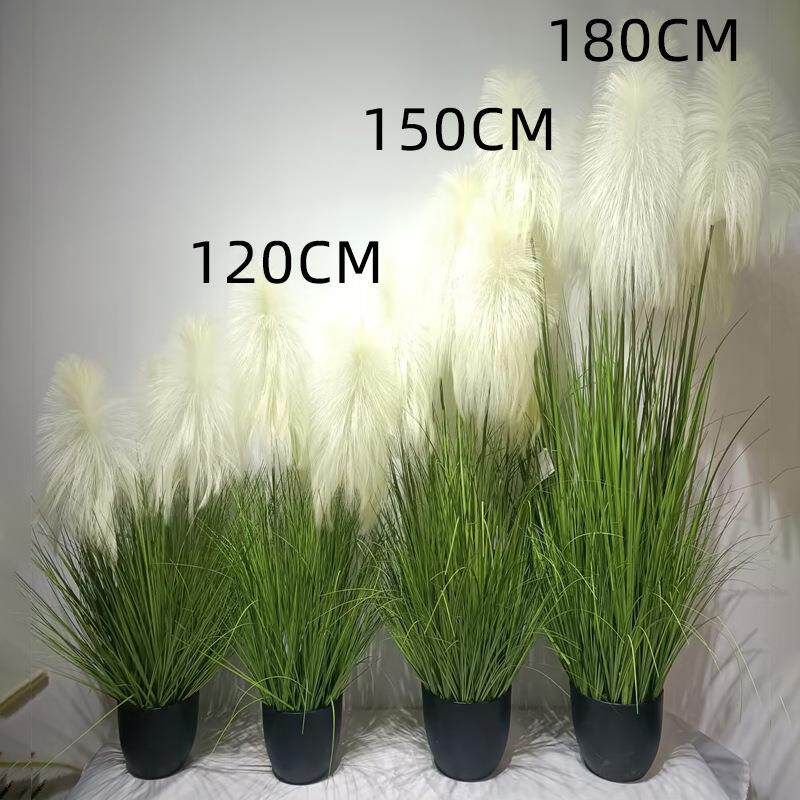 狗尾巴草草花苇草假草绿芦装植毛毛虫猫尾假花箱饰制造造景观厂家
