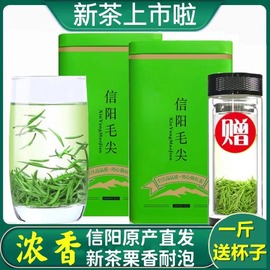 茶叶2024新茶信阳毛尖雨前浓香型高山云雾绿茶嫩芽罐装250g大分量