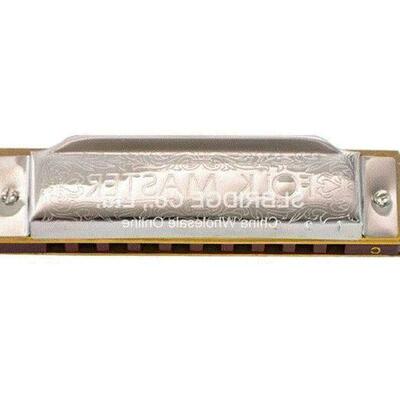 silver Suzuki 1072 Folk Master Harmonica 10 Ho Blues Key