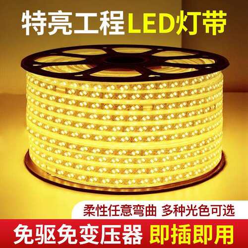 led灯带 三色变光家用220V高亮软灯条户外防水跑马灯工程照明