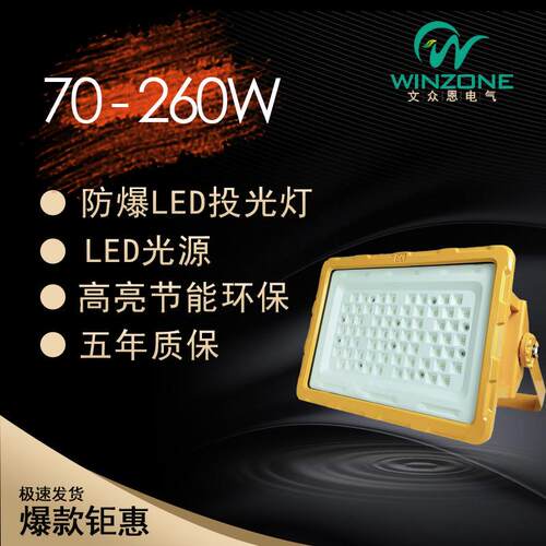 70W150W260W防爆LED厂用工矿投光泛光灯