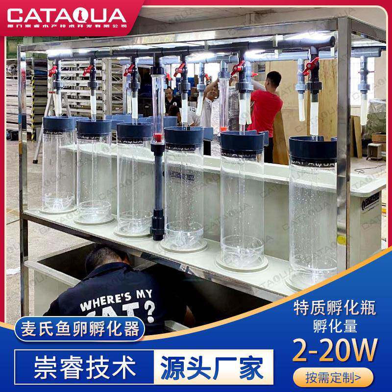 水产养殖高密度孵化设备工厂化循环水养殖系统麦式鱼卵孵化器