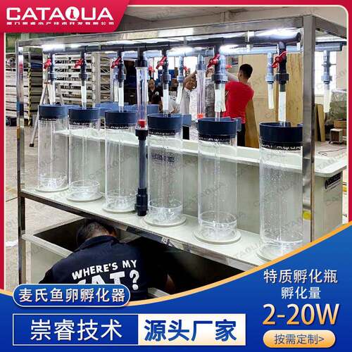 水产养殖高密度孵化设备工厂化循环水养殖系统麦式鱼卵孵化器