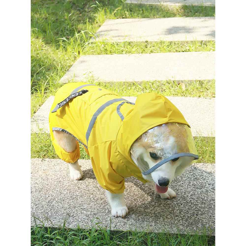 宠物狗狗四脚雨衣柯基专用防水防脏衣服柴犬泰迪雨披2025新冲锋衣