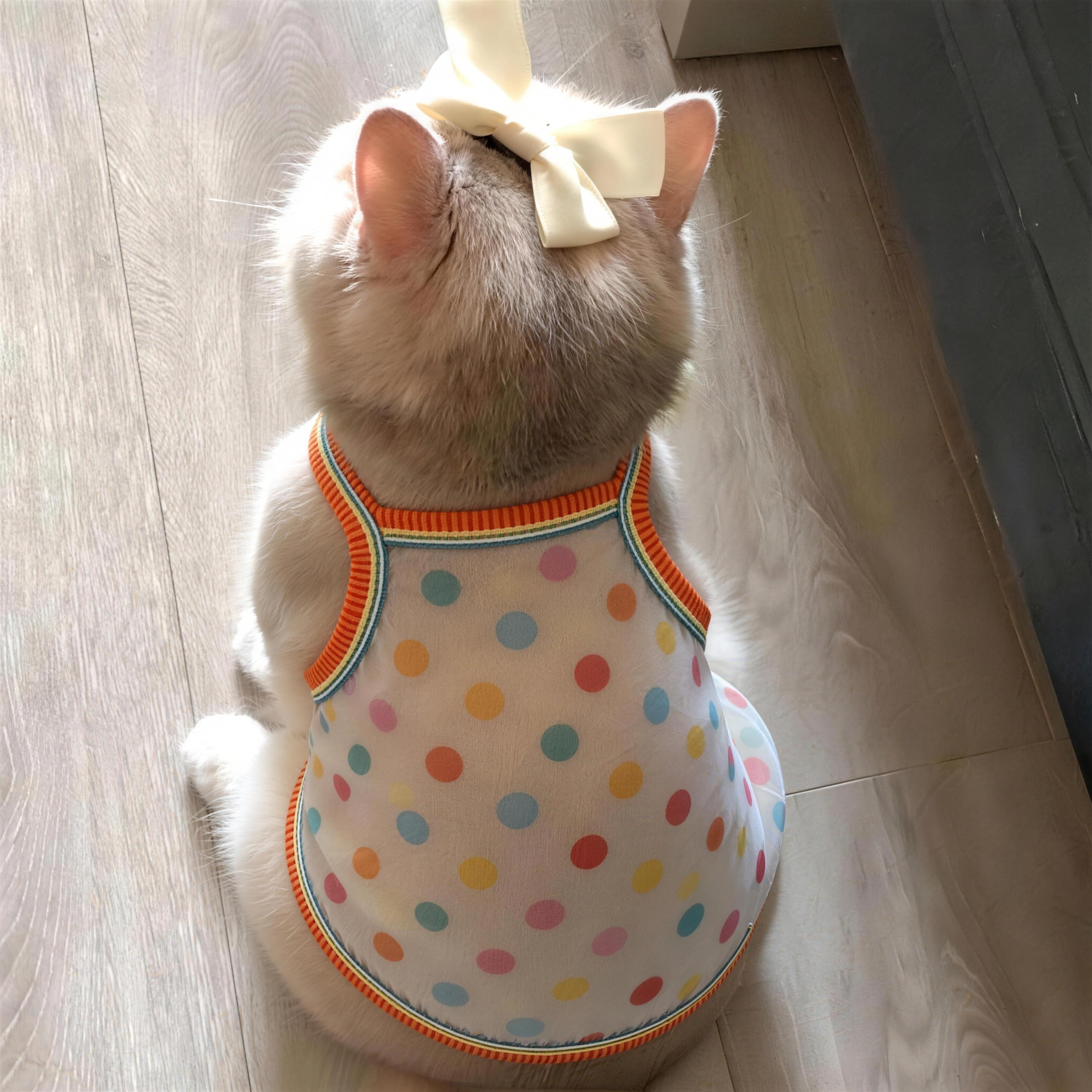 猫衣服防掉毛德文猫夏季薄款吊带布偶猫宠物狗狗衣服2026新款透气
