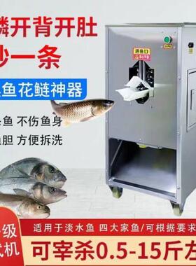 侧式杀鱼机适用水产店以及海水鱼淡水鱼8两到6斤开背开肚三秒一条