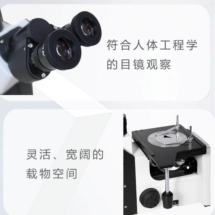 MTF2000金相显微镜三目倒置显微镜球化率珠光体铁热处理金相分析