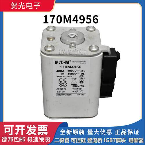 巴斯曼 170M4956 170M5410 170M2620 170M2621快速熔断器原装进口