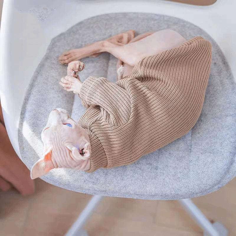 毛猫秋冬衣服斯芬克斯德文宠物猫弹性时尚防潮个性舒适柔软毛衣
