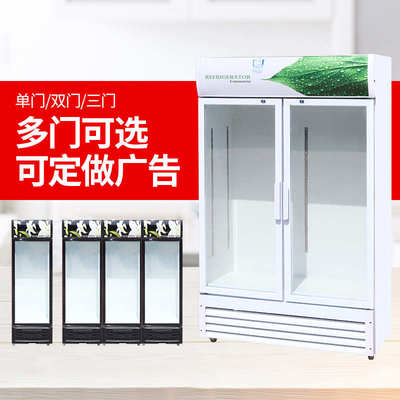 商用冷藏柜冰柜饮料展示冰箱冷夏天直冷冻商用柜冷柜冷藏柜双开门