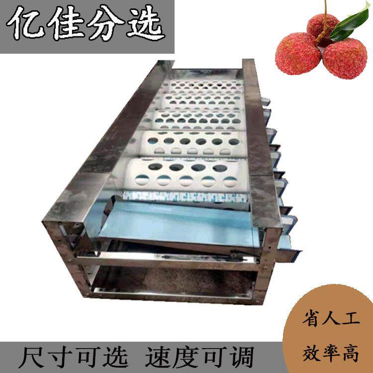 柿子选果机大蒜分级机 茂谷柑拣果机柑橘筛选机 滚桶式果蔬分选机