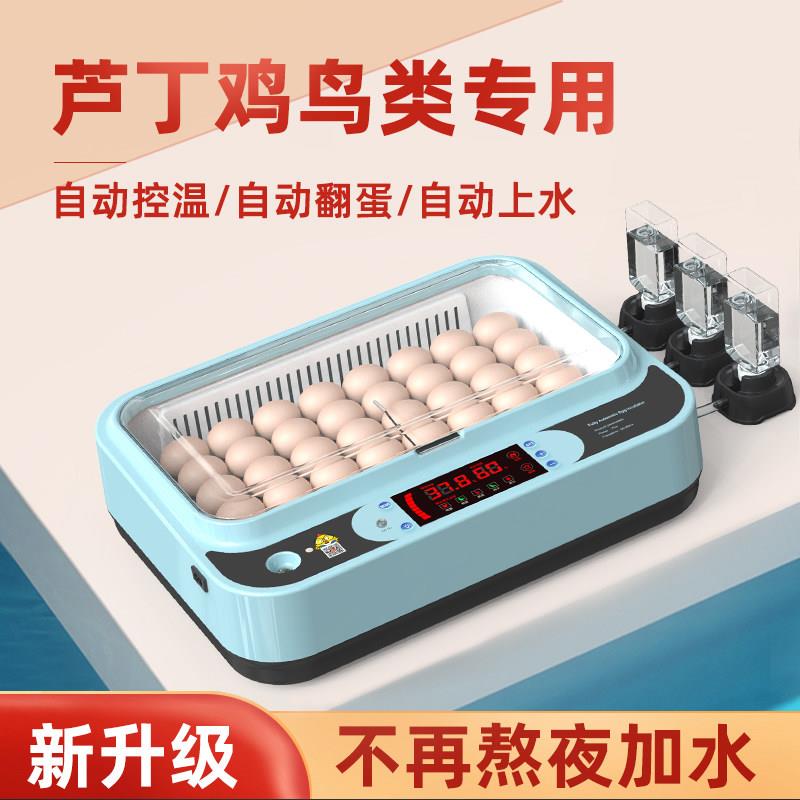 孵化器小型家用迷你芦丁鸡孵化机全自动智能鹦鹉鹌鹑小鸟蛋孵化箱