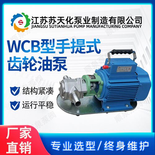 WCB型齿轮油泵 微型手提式节能输油泵 不锈钢材质 - 封面