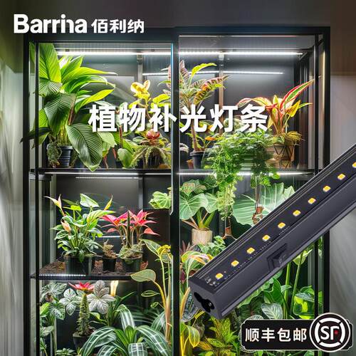 Barrina佰利纳植物补光灯全光谱热植、兰花补光植物生长灯5000k