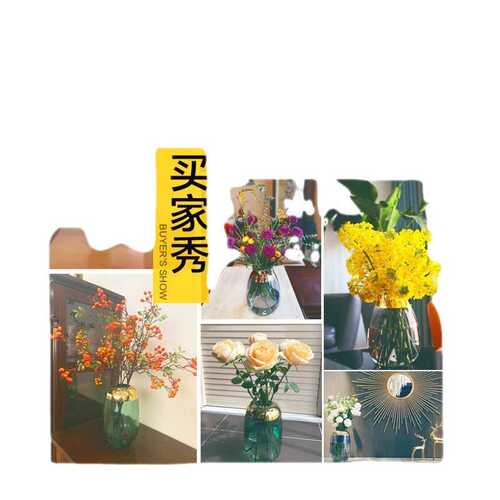 简约现代轻奢玻璃花瓶透明水培插花瓶北欧客厅餐桌家居装饰品摆件