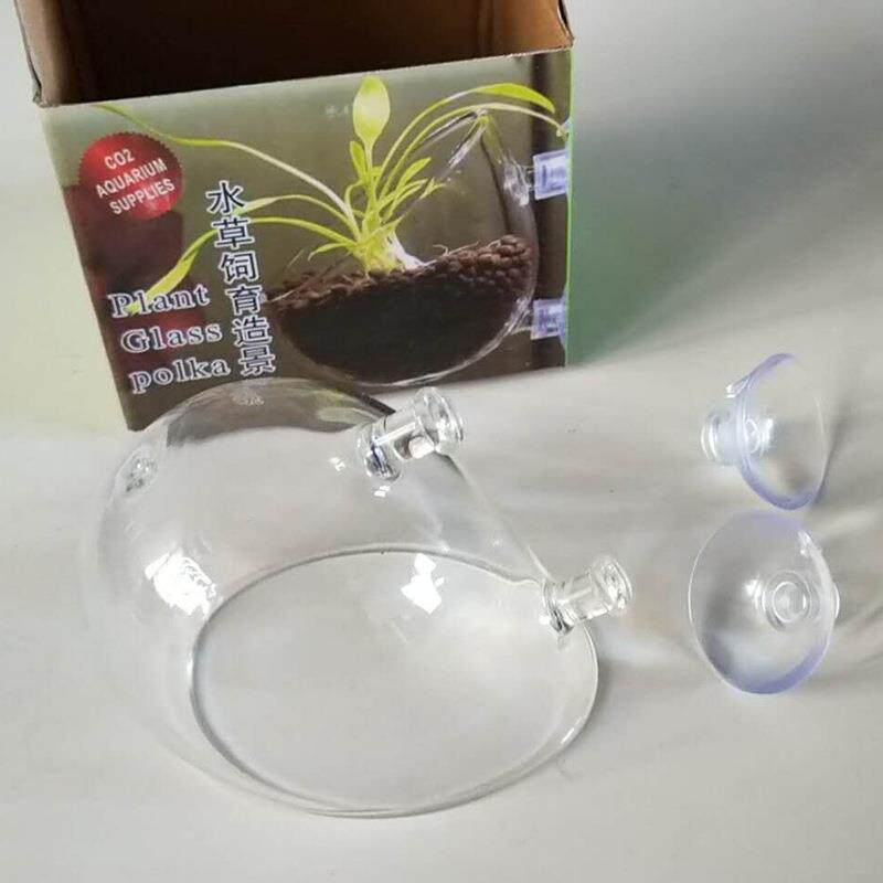 水草饲育造景盆 饲养水草造景玻璃制品盆水族器材缸内微观盆景co2