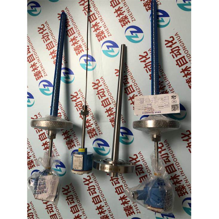 安徽天康隔爆铂电阻WZP-24SA