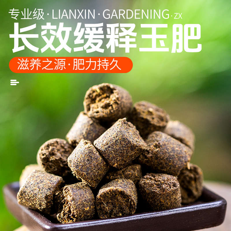 玉肥盆景松柏金弹子老鸦柿花卉绿植专用长效有机颗粒缓释专用肥料