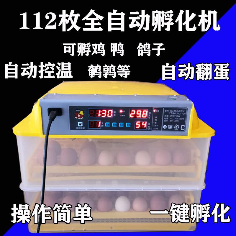 四季可用卵化器家用电浮箱小型孵蛋器鸡鸭鹅通用孵卵机三用机