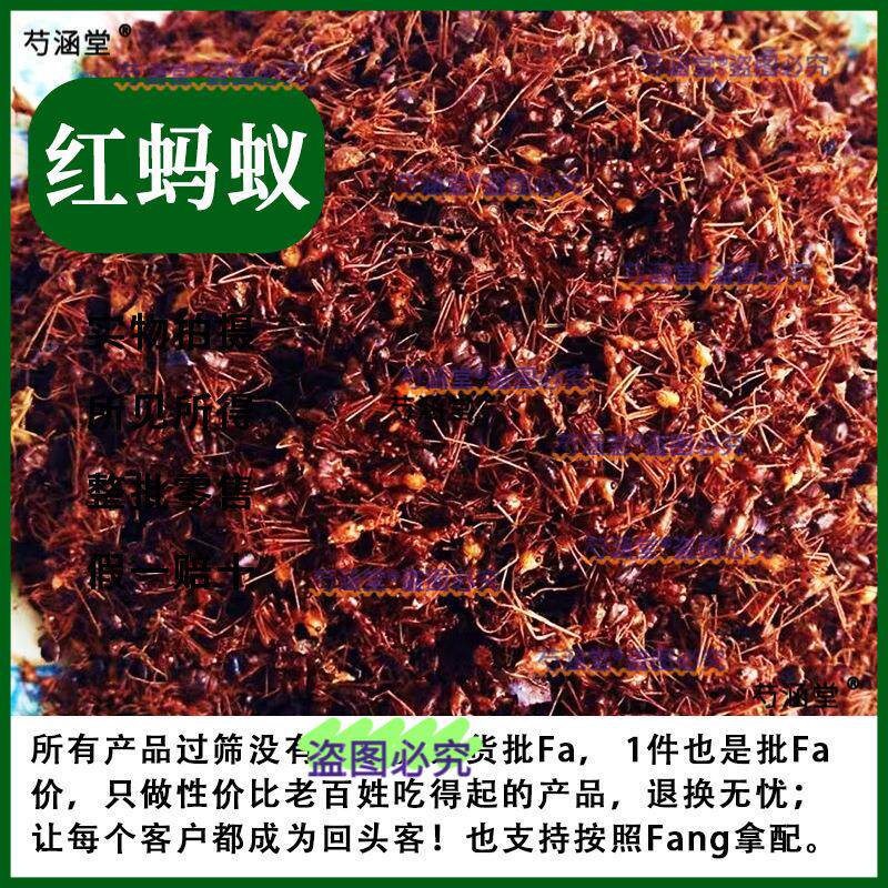 红蚂蚁干 中药材 长白山 野生红蚂蚁100克中药养生泡酒另有黑蚂蚁