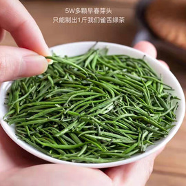 800/斤 特级雀舌绿茶茶叶新茶2023茶叶明前12g散装品鉴装 可喝4次