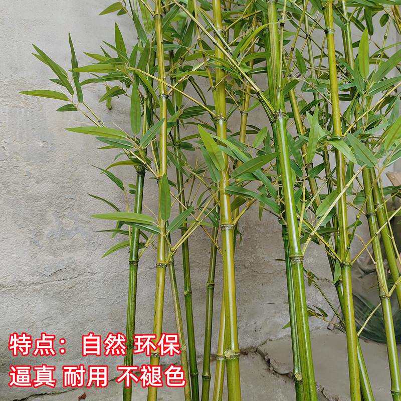 仿真竹子室外造景围栏装饰假竹子室内隔断屏风仿真植物装饰竹子