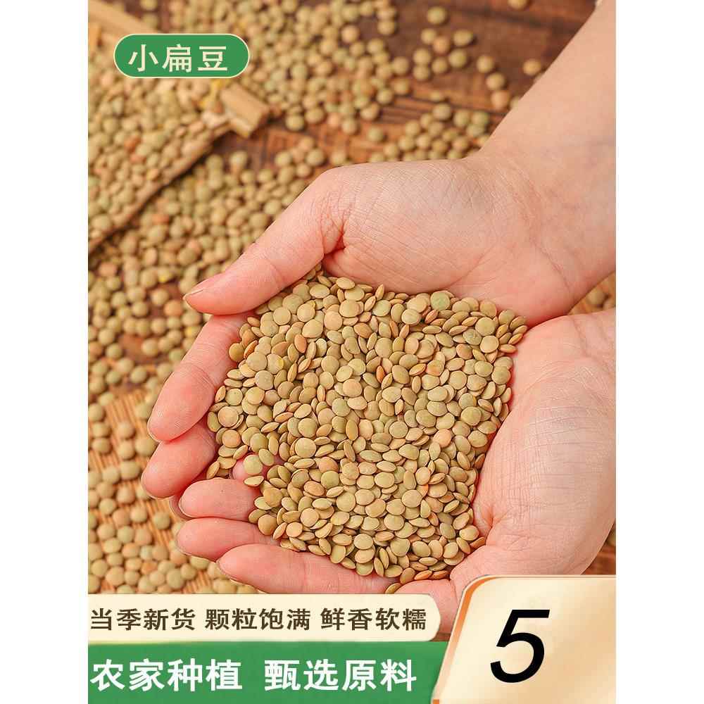 新小扁豆甘肃特产农家新鲜扁豆兵豆扁豆子可生豆芽五谷杂粮