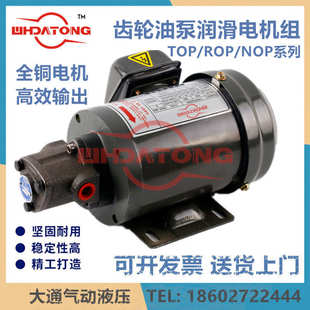 13A机床润滑 齿轮油泵 马达电机组 TOP 12A 宝华ROP 200W 11A