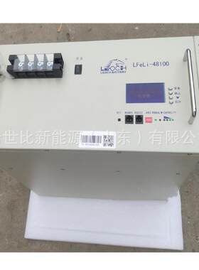 LEOCH理士磷酸铁锂蓄电池LFeLi-48100 48V100AH太阳能光伏储能