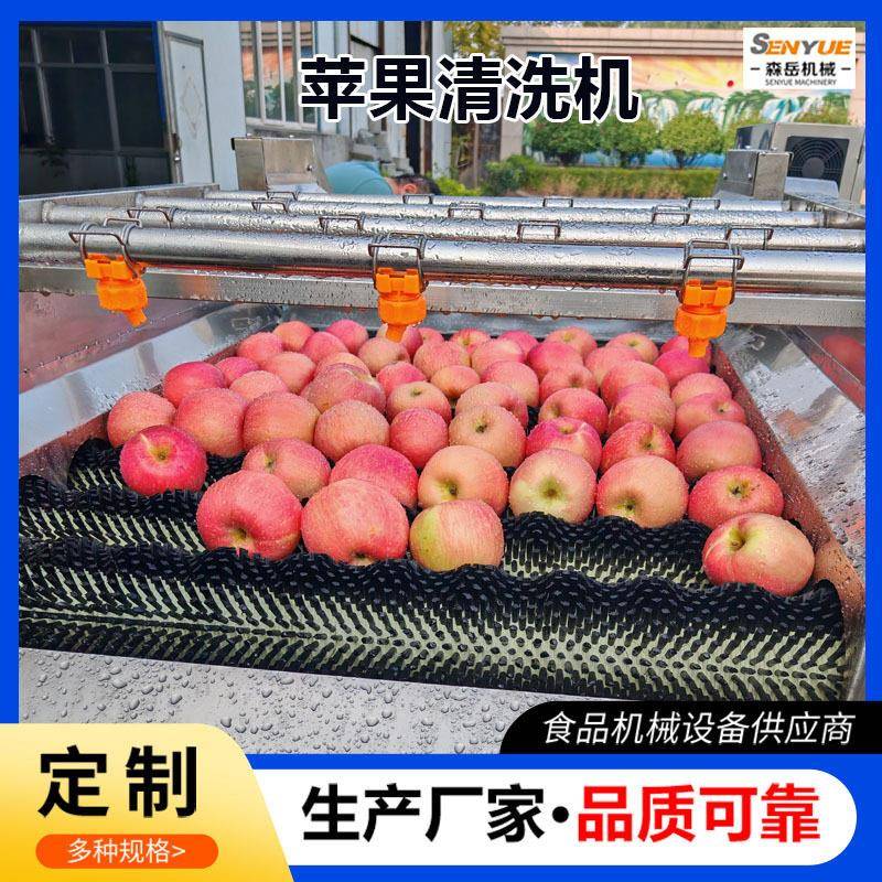 苹果保鲜清洗机山楂清洗机器全自动气泡洗果机砂糖橘带叶气泡清洗
