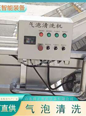 香菇清洗机 果蔬物气泡清洗菜机 农作清洗设备厂家大型洗机MAGA-