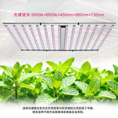 植物灯4X81三折叠500瓦植物灯UL大WSQ型温室棚补光灯大全生光谱