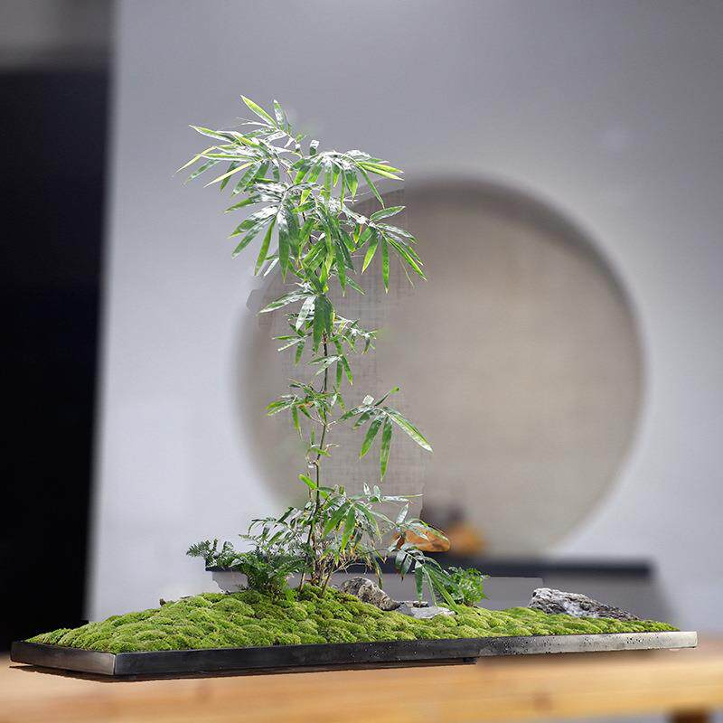 新款直销 长方形乌金石大盆 景微景观酒店大堂装饰办公室会议桌摆
