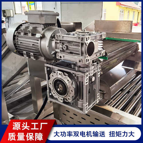 果蔬菜不锈钢气泡千禧喷淋河 多功能山楂清洗机清洗机盛清洗机