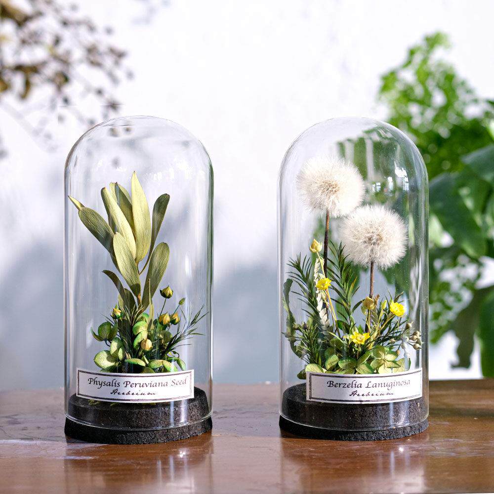 野地花园植物标本玻璃罩干 干燥花永生花家居书房陈列摆件饰品北