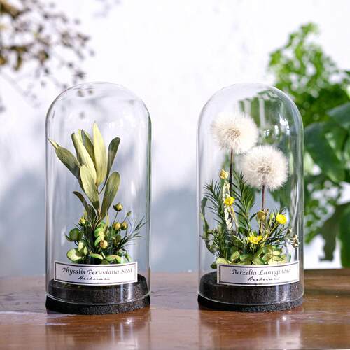 野地花园植物标本玻璃罩干 干燥花永生花家居书房陈列摆件饰品北