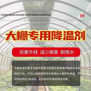 蓝冰专用降温剂强力降温剂防晒耐冲刷大棚降温剂降温大棚厂家