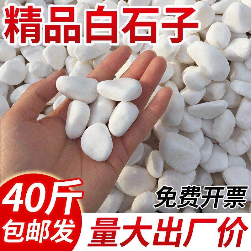 上海白石子白色石头庭院园林景观枯山水铺地鹅卵石造景装饰白石子