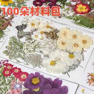 幼儿diy材料包滴胶相框手工团扇贺卡书签押花材料玫瑰树叶大花包