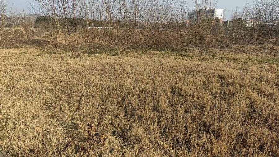 1月2日襄阳菜业公司整体破产财产网络拍卖公告