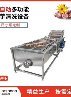 洋姜清洗机全自动气泡喷淋生姜清洗机械洗菜洗果设备菊芋清洗机