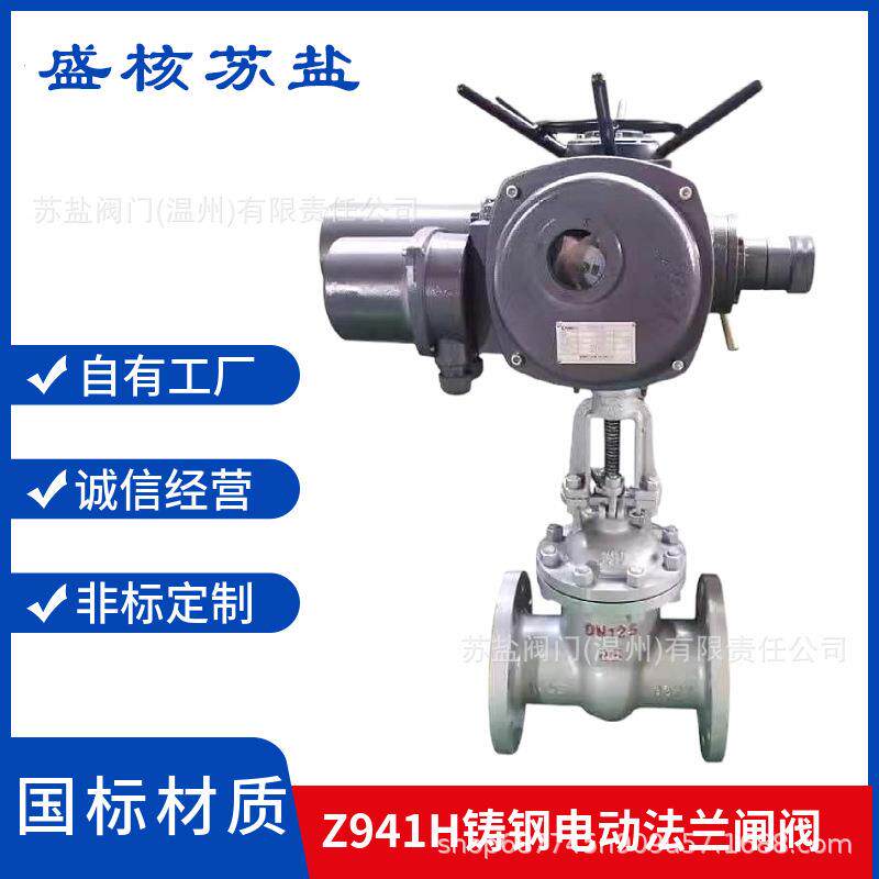Z941H/Y-16C25C国标铸钢IP68防爆智能调节开关型380V法兰电动闸阀 - 实物图