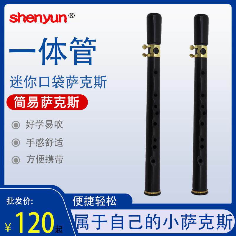 口袋萨克斯萨克斯竖笛成人儿童初学萨克斯口袋萨迷你小萨克斯乐器