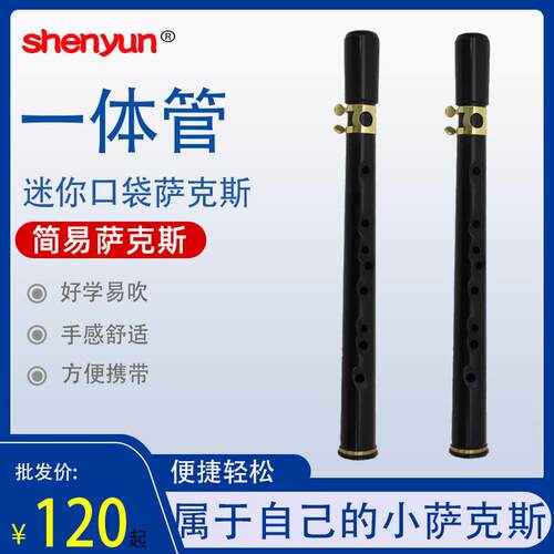 口袋萨克斯萨克斯竖笛成人儿童初学萨克斯口袋萨迷你小萨克斯乐器