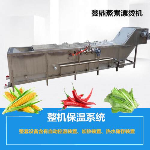 鑫鼎3000型糯玉米清洗蒸煮机 蘑菇清洗漂烫成套设备厂家直销