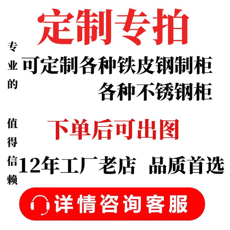定制专拍钢柜定制铁皮柜文件柜矮柜鞋柜不锈钢清洁柜铁艺收纳柜