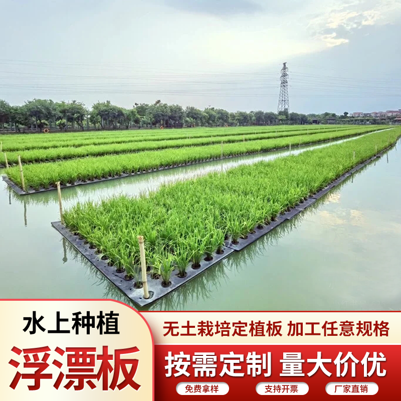 eva水上种植泡沫浮床水培水稻浮板 鱼塘漂浮面板水培蔬菜定植泡棉